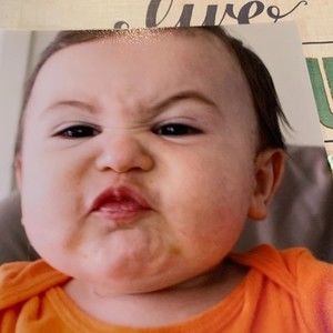 Meet your Posher, Darlene